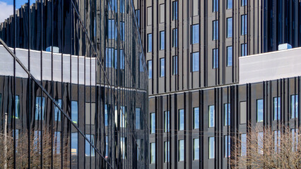 Modern Vertical Black Metal Ribbed Facade Building Architectural Glass Windows