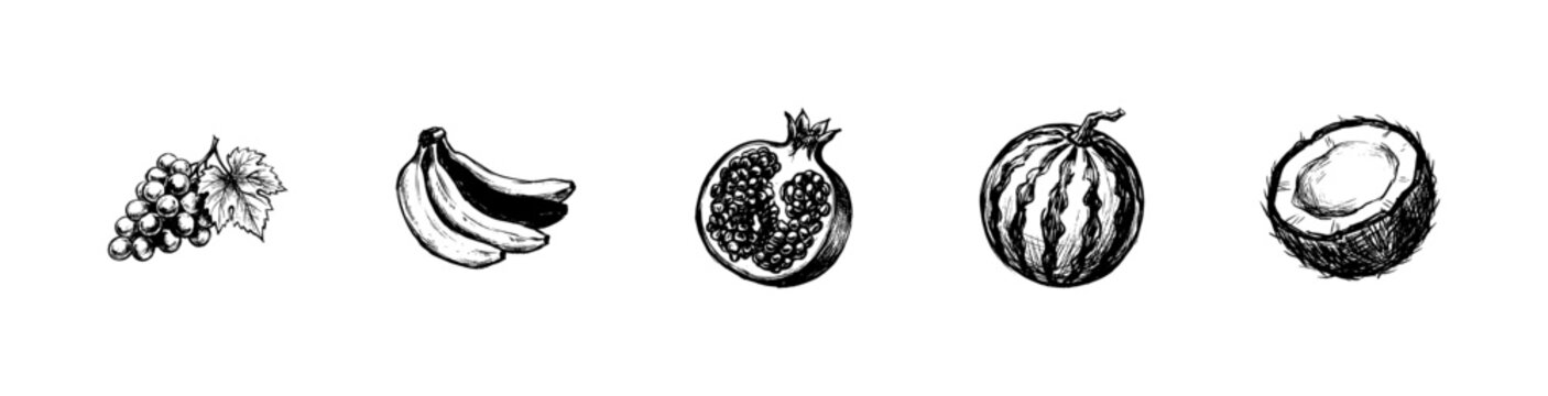 Fresh Organic Fruits and Tropical Botanical Elements with Hand-Drawn Inky Doodle and Fluid Calligraphic Outlines