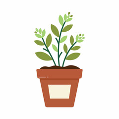 Obraz premium Small potted plant with green leaves and tiny buds in brown pot with beige label.