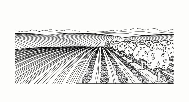 Black and white line drawing of rolling hills with cultivated fields and an apple orchard