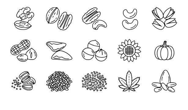 A set of black and white line art illustrations of various nuts and seeds