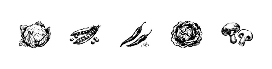 Obraz premium Vegetable and Garden Produce Food Labels with Fluid Engraving Style and Hand-Drawn Sketchy Style