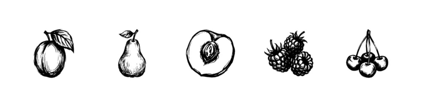 Garden Fruit and Orchard Harvest Elements with Hand-Drawn Ink Hatching and Detailed Woodcut Engraving Style Doodle