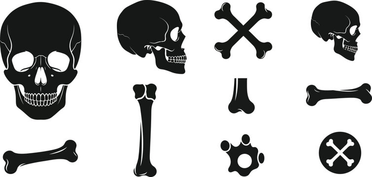 Black skull and crossbones and bone on white background