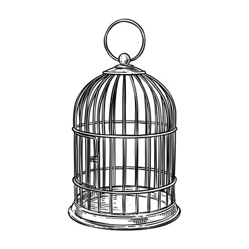 bird cage vector line art hand drawn illustration