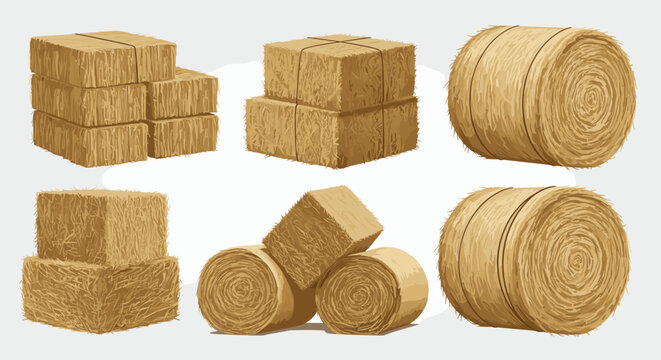 Different shapes and sizes of dried hay bales including square blocks and large round rolls stacked on a farm field during harvest season.