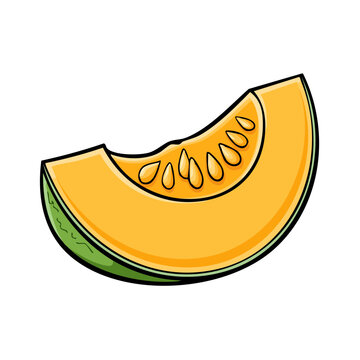 Fresh Cantaloupe Slice with Seeds and Green Rind Cartoon Illustration