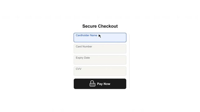 Online payment form on a secure website interface