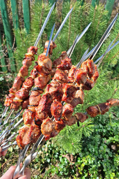 Grilled meat skewers shashlik outdoor
