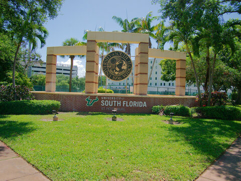 University of South Florida St. Petersburg Campus Sign With Seal and Palm Trees on Sunny Day. Editorial Use Only St. Petersburg, FL, USA April 10, 2026. Green lawn,campus identity, education and commu