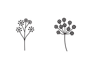 Obraz premium Black line drawings of two simple flower plants with multiple small flowers on thin stems isolated on white background