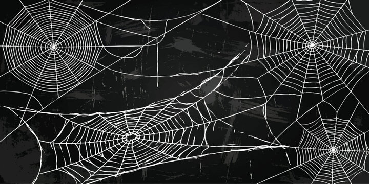Seamless spider web pattern with intricate white cobwebs on a black background for halloween horror theme vector illustration