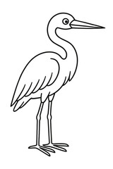 Fototapeta premium A majestic great flamingo in a studio wildlife portrait