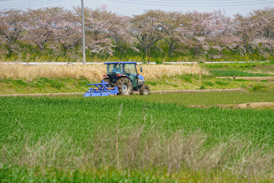 田畑のあぜ」の写真素材 | 1,702件の無料イラスト画像 | Adobe Stock