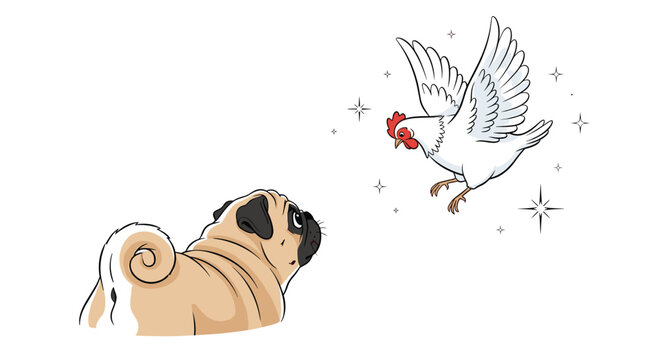Funny scene showing a curious pug dog from behind looking up at a white chicken flying with sparkles in the air around.