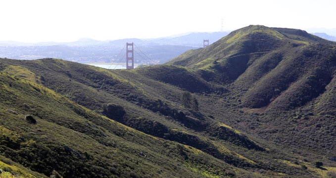 Slacker Mountain overlooking the Golden Gate Bridge