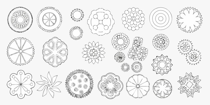 Variety of diatoms and radiolarians illustrated in a vintage scientific style