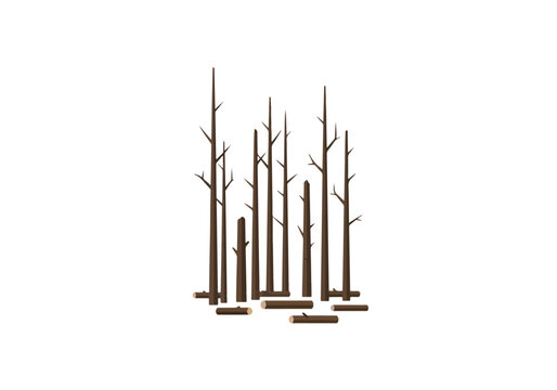 Group of Tall Bare Trees and Fallen Logs.