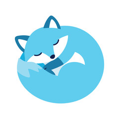 Fototapeta premium Sleeping arctic fox curled up in a ball, its tail wrapped around itself on a white background
