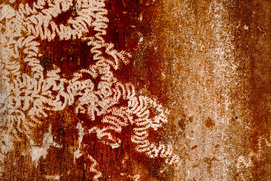 Intricate snail tracks and organic patterns on textured brown wall.