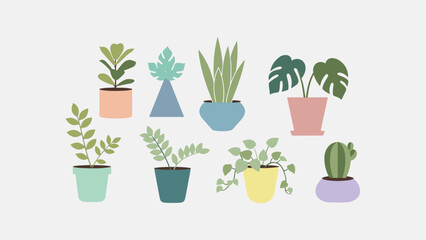 Fototapeta premium Potted plants on a clean background from Pexels