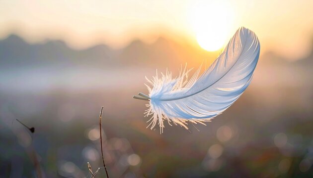 Delicate white feather floating in morning mist with sunbeams creating a bokeh effect and dew drops sparkling on its barbs