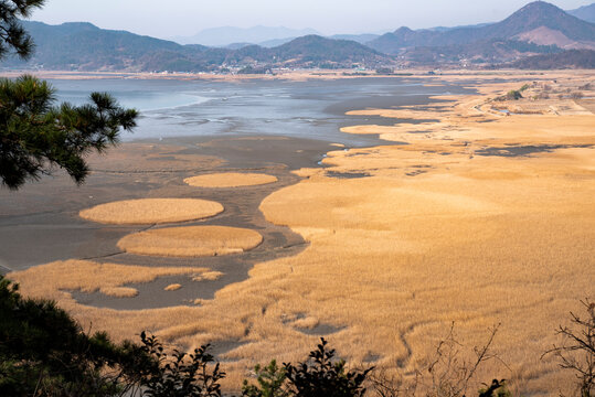 순천만, 순천만 습지, 순천만 람사르 습지, Suncheon Bay, Suncheon Bay Wetland, Suncheon Bay Ramsar Wetland