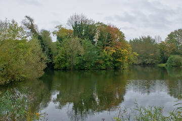 Fototapeta premium colorful autumn trees reflecting in the water of a pool in the wetlands of Bourgoyen nature reserve, Ghent, Flanders, Belgium 