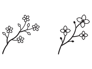 Fototapeta premium Black and white illustration of two floral branches with flowers and buds on white background for design and decoration simple line art