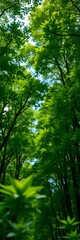 Fototapeta premium Deep green forest canopy viewed through a shallow depth of field, isolating the vibrant foliage, leafy background, nature