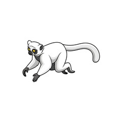 Fototapeta premium Cute white lemur walking on all fours isolated on transparent background