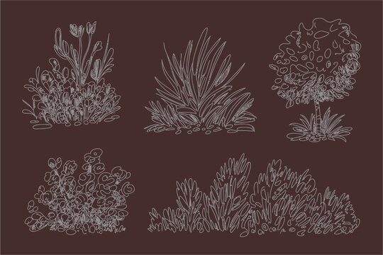 White line art bushes and shrubs collection on dark brown background for landscape architecture planning and outdoor gardening illustrations