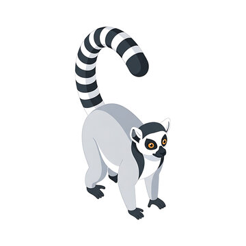 3D isometric vector illustration of a lemur with long striped tail isolated on transparent background