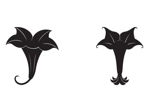 Minimalist tattoo designs of stylized elephant tails with curled ends and decorative lines