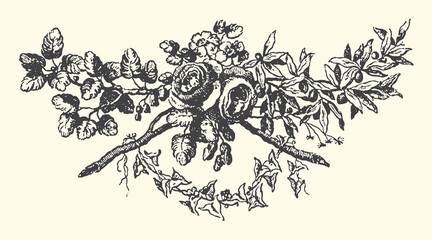 Floral vector illustration featuring detailed vintage rose arrangement with decorative leaves and branches for elegant graphic design project templates © bbilfunk