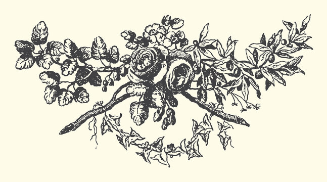 Floral vector illustration featuring detailed vintage rose arrangement with decorative leaves and branches for elegant graphic design project templates