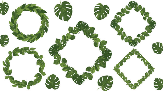Beautiful set of botanical wreaths and frames created from various green tropical leaves like monstera and laurel branches.