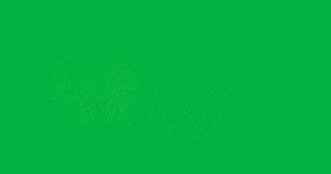 Animation of fireworks exploding on white background
