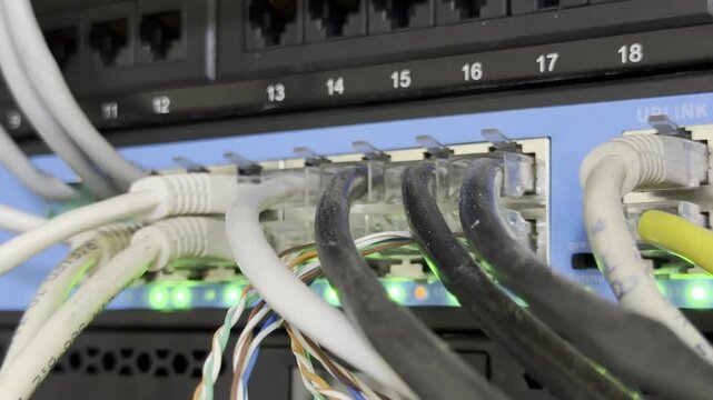 Cables are plugged into a network switch