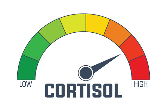 Cortisol Level Gauge Indicating Stress Measurement