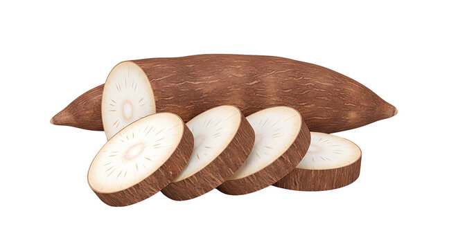 Sliced Cassava Root Vegetable