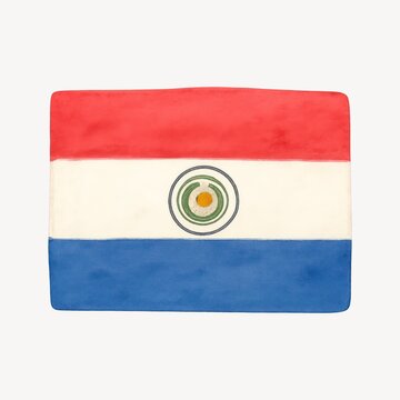 Paraguay flag with emblem