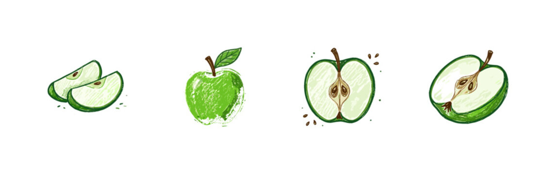 Green Apple Fruit and Botanical Leaf Sprigs with Crayon Colorful Style in Watercolor and Fluid Crayon Pencil Texture.