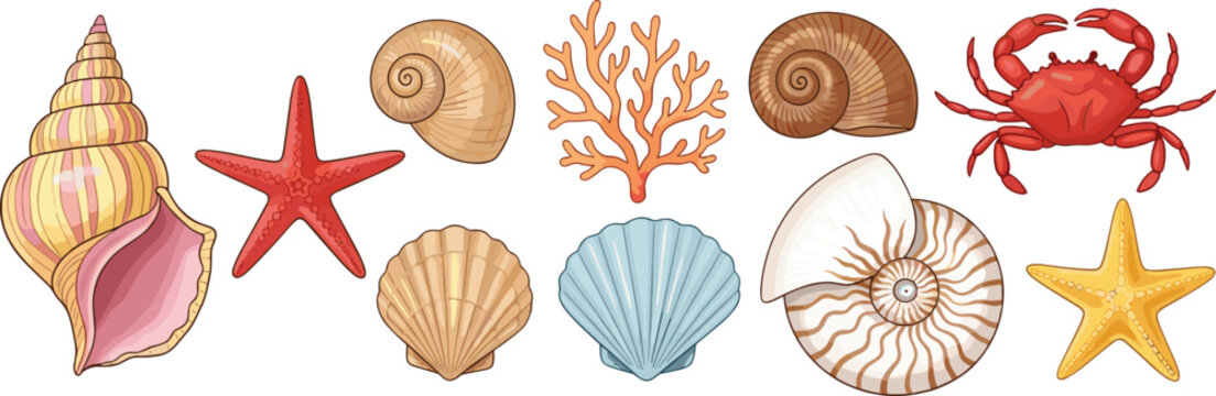 Marine Life Vector Set Featuring Sea Shells, Nautilus, Conch, Coral Reef, Starfish, and Red Crab for Coastal Decor and Summer Nautical Designs