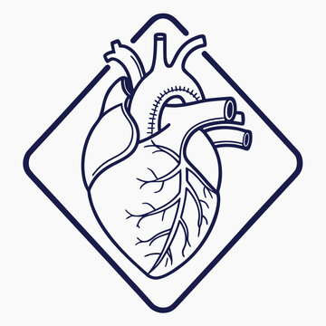 Anatomical heart illustration within a diamond frame with the artwork presents
