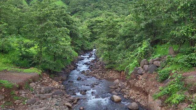 A gushing river near Mahad flows with fierce energy in stunning 4K, cutting through lush landscapes as monsoon waters bring life, power, and wild natural beauty.