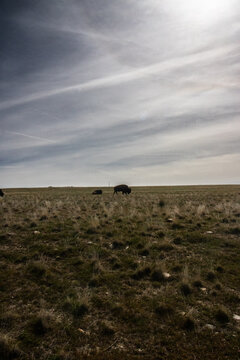  Antelope Island Utah State Park Sunny Spring Hiking Views 