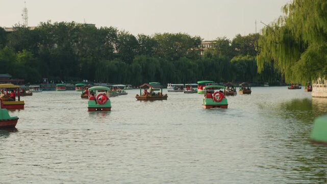 Paddleboats on lake at sunset, families and couples enjoy slow cruise beneath willow trees, gentle ripples create warm reflections on water, distant treeline and park shoreline visible, rental staff