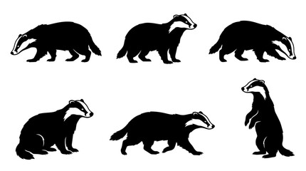 Obraz premium badger silhouette vector set