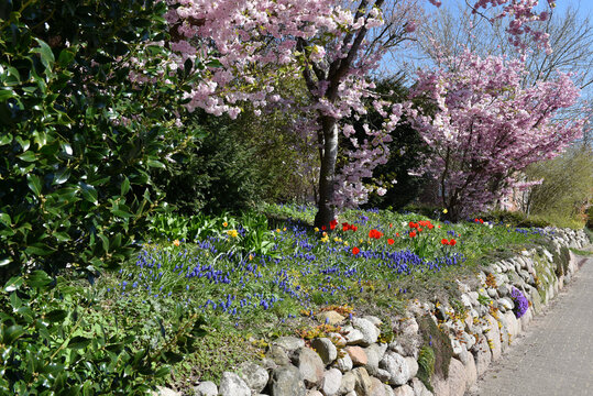 Garten im Fr&uuml;hling